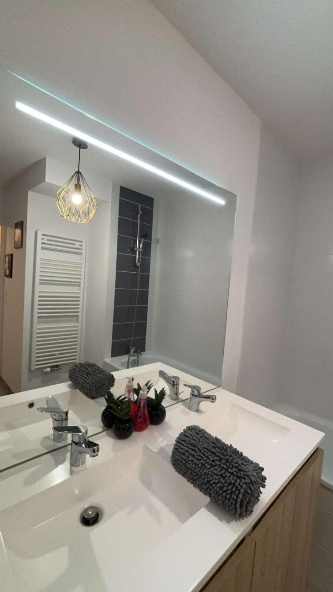 Suite Jacuzzi "Spa Privatif " Appartement Jacuzzi トゥールーズ エクステリア 写真